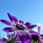 Happy Easter 2012!